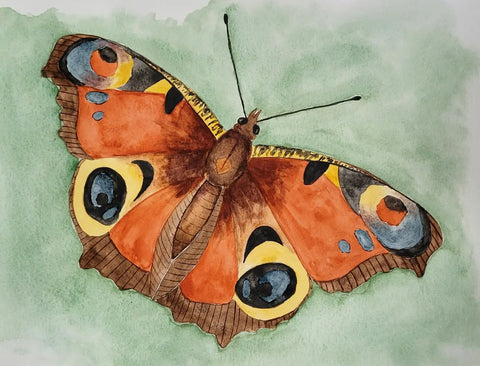 Papillon aquarelle