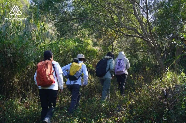 How to start hiking as a beginner? - A Beginner's Guide to Hiking Tips and Stages for Getting Started