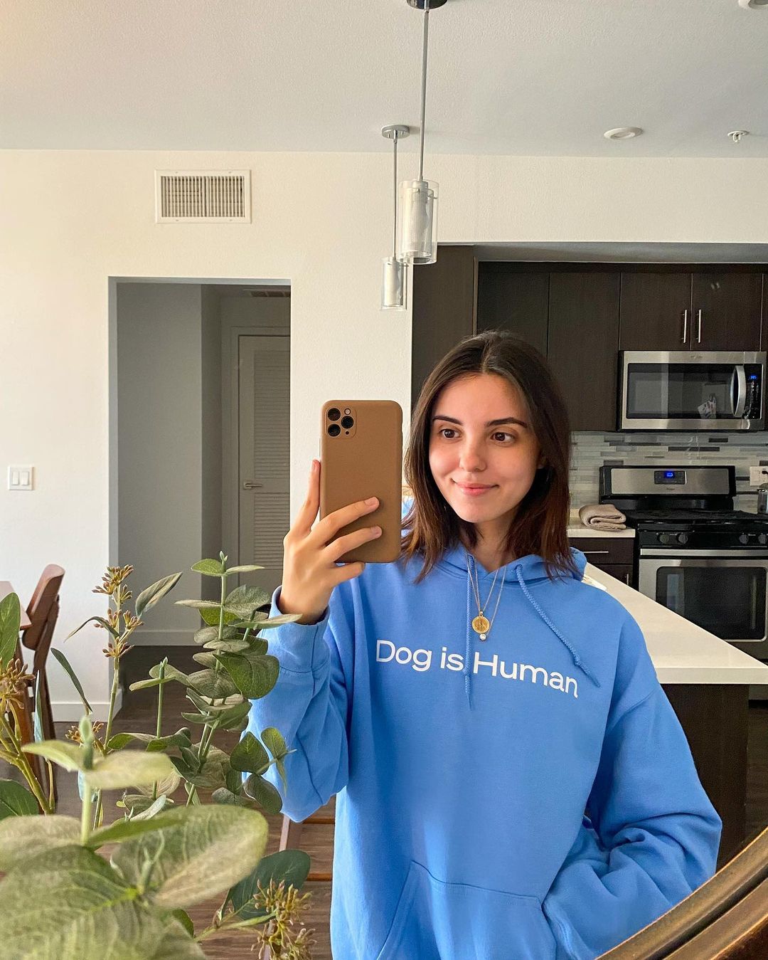 Wishbone Blue Hoodie - Dog Is Human product image