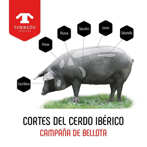 cortes del cerdo