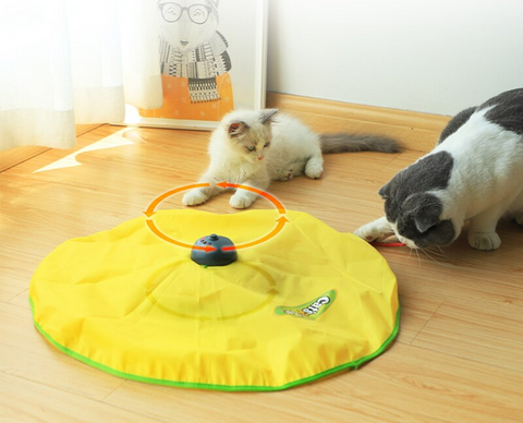 Speelgoed kat catsplay