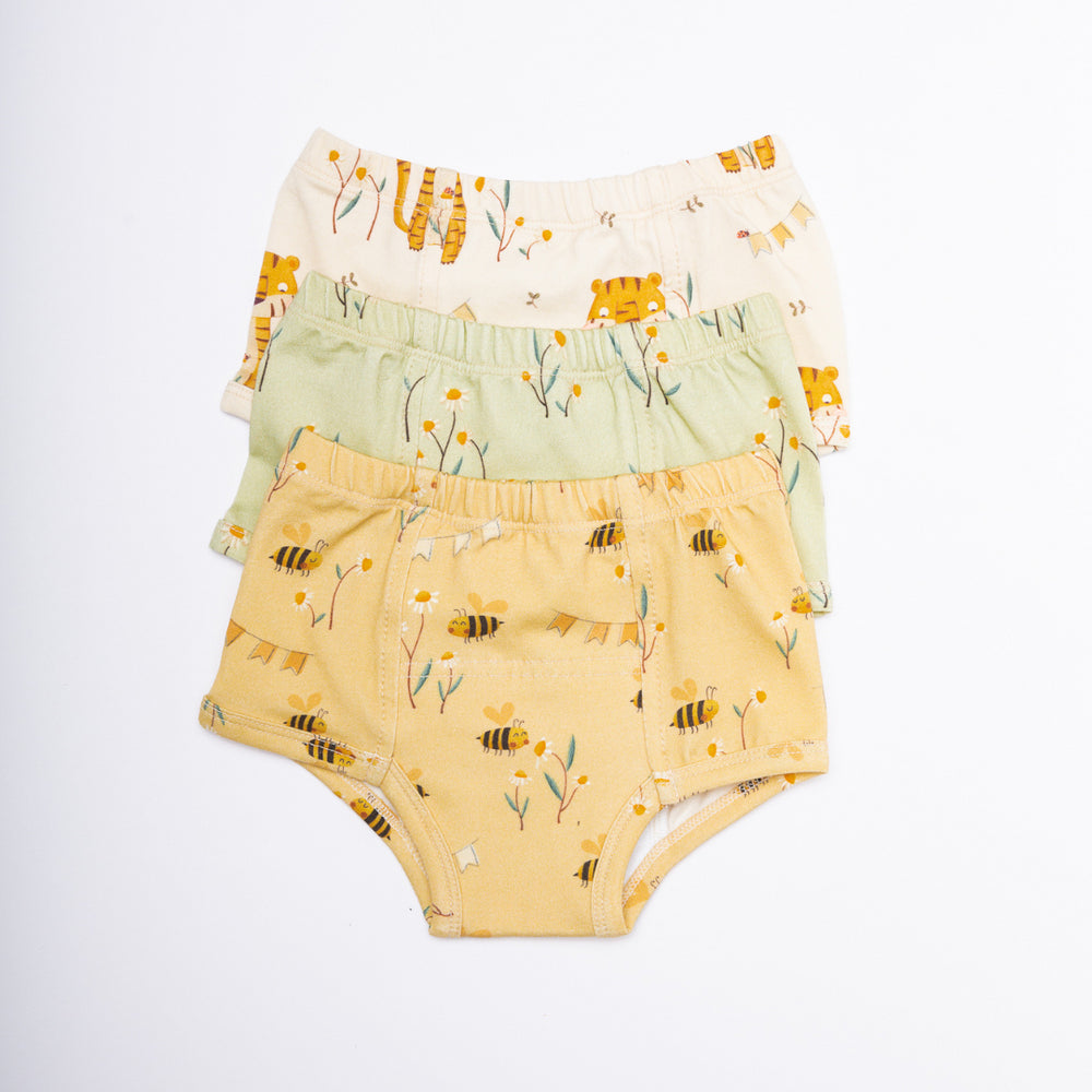 Potty Training Underwear