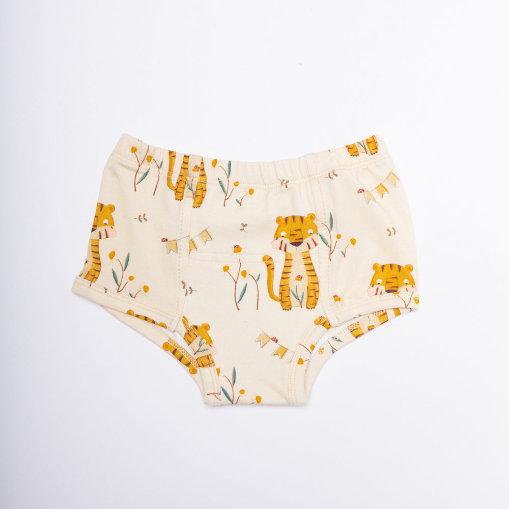 Potty Training Underwear