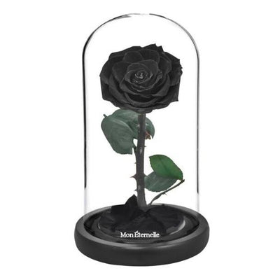 Rose Eternelle Noire | Mon Éternelle