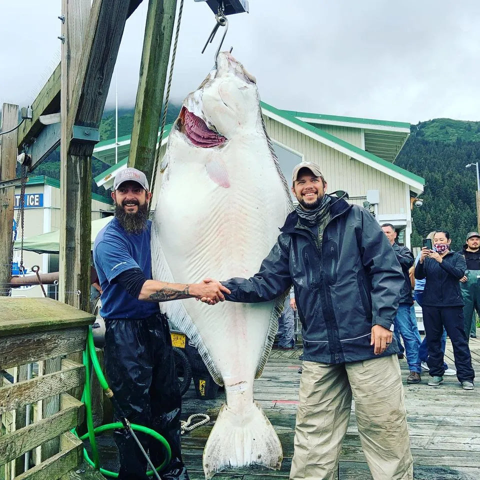World Record Halibut: The Largest Halibut Ever Caught – Alaskan Salmon Co.