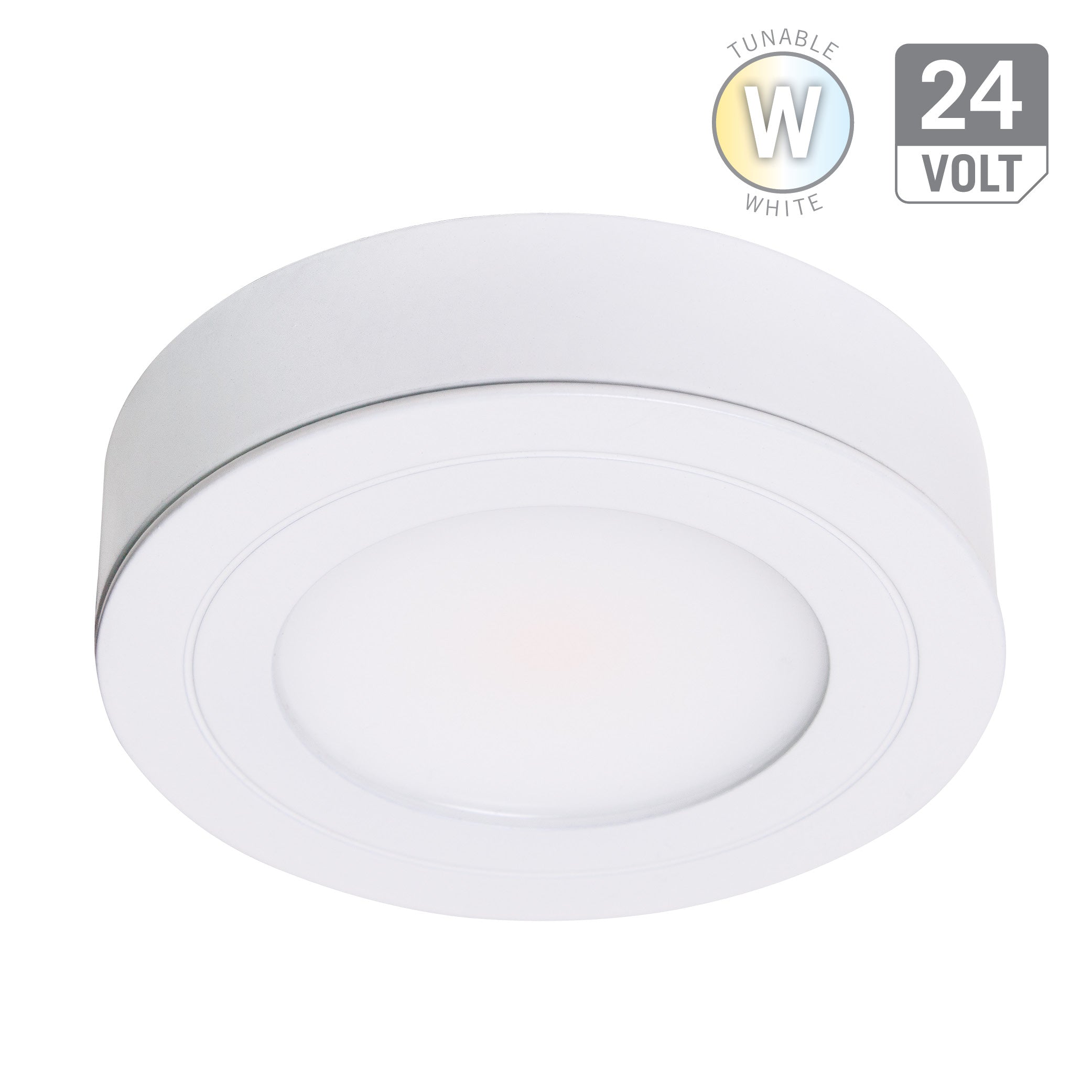 CCT LED Tunable White Tape Light 24V – Armacost Lighting