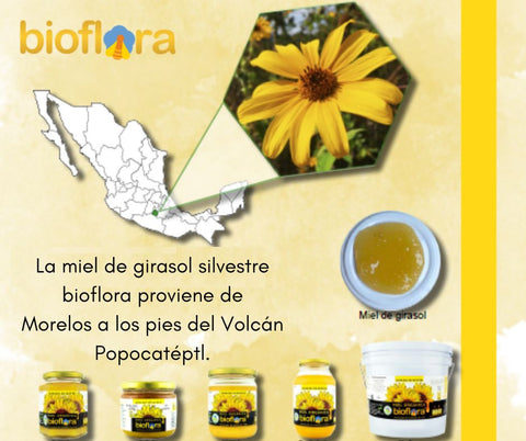 Miel organica bioflora, girasol silvestre