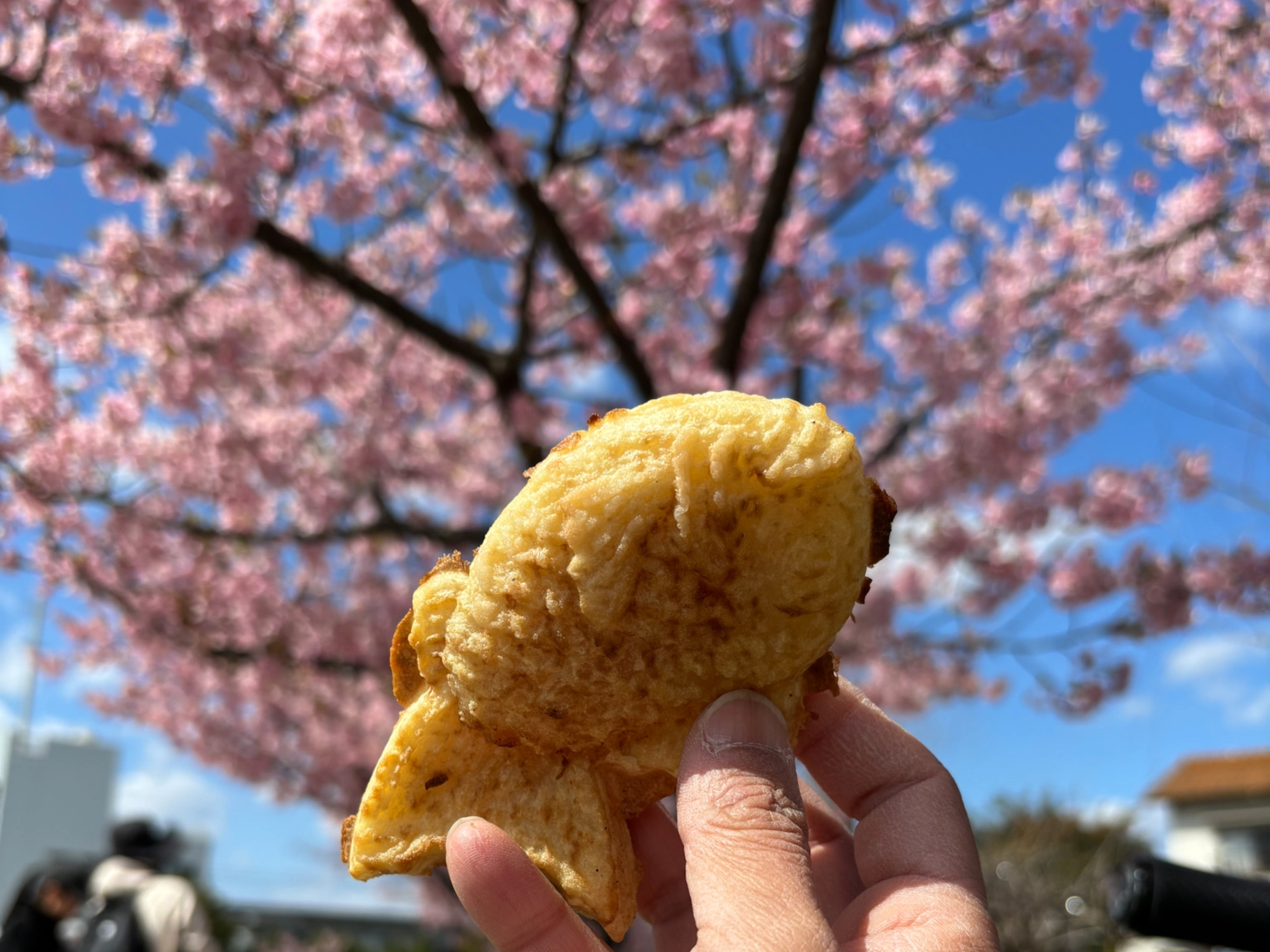 桜あんたい焼き