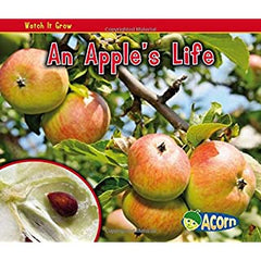 An apple's life cycle