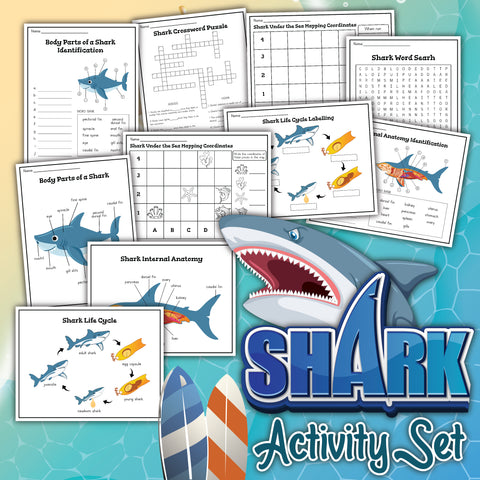 Shark activities for shark wee