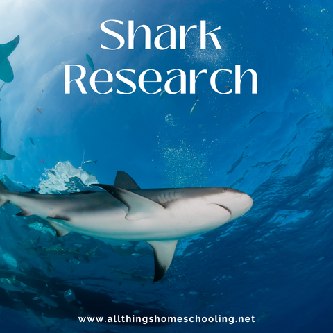 Shark Research, Shark Week