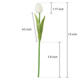 Tulips - 20 Pack - White