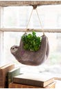 Planter Grey Sloth
