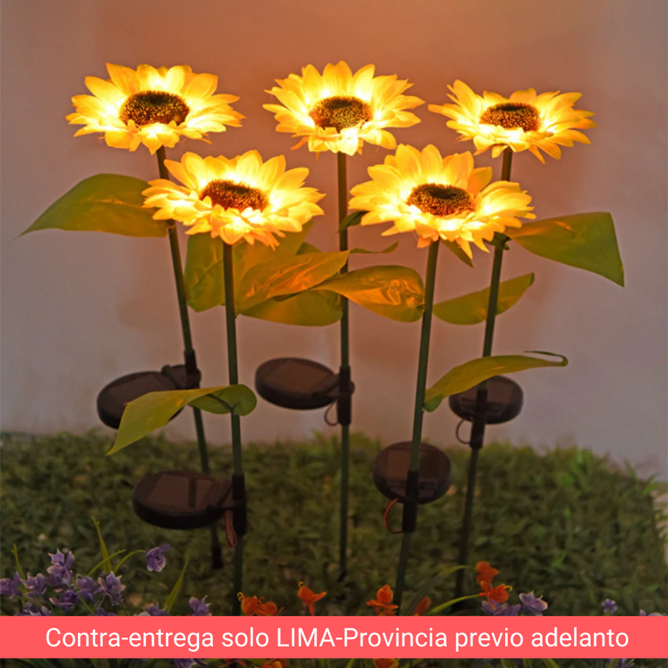 Girasol led recargable solar – 