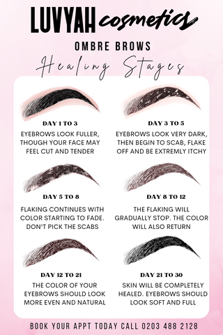 Ombre Brow Poder Brow Healing Stages
