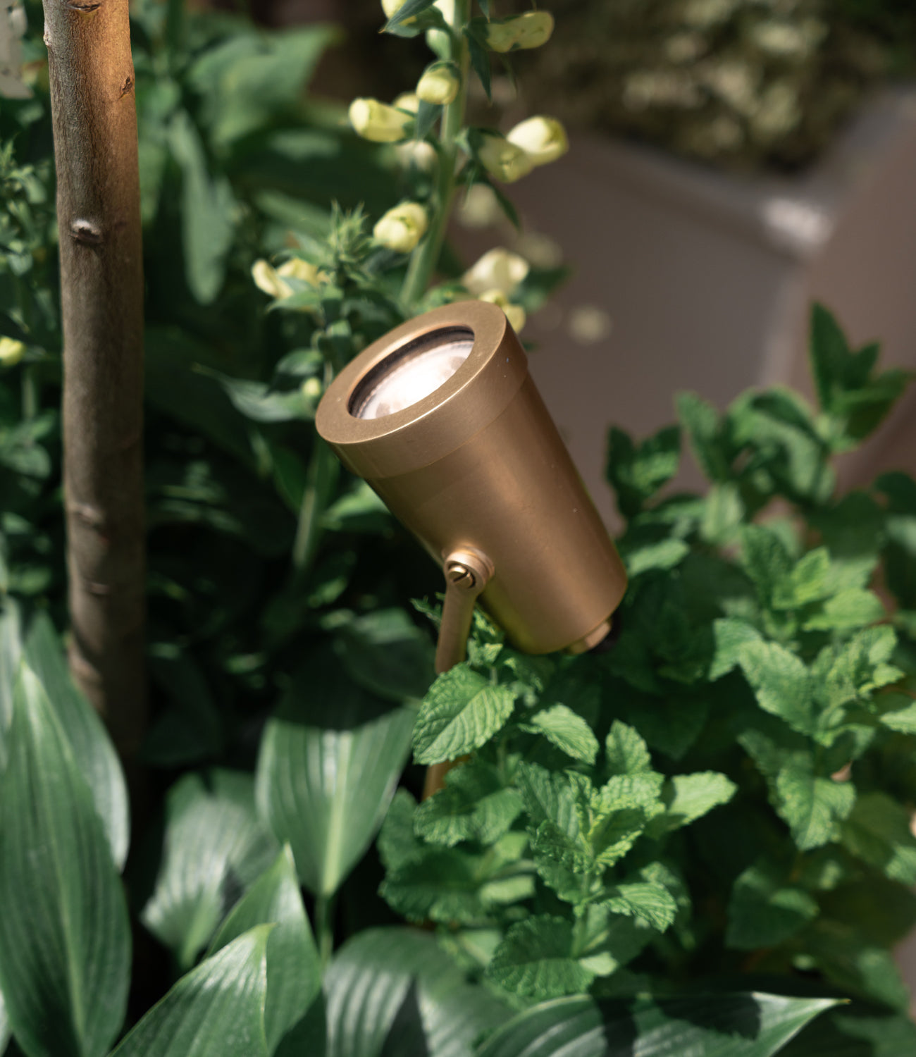 A bronze garden spotlight nestled among lush green plants and delicate yellow flowers, illuminating the vibrant foliage.