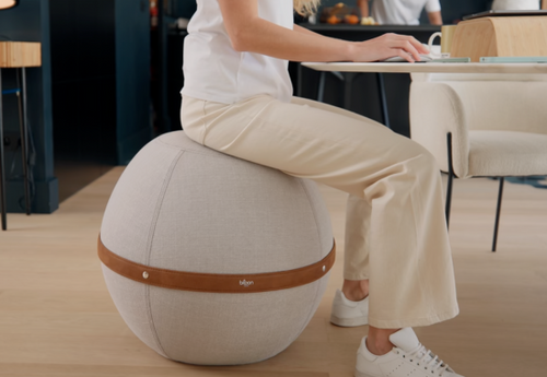 Ballon d'exercice de qualité professionnelle Balance Ball Chair Chaise de  yoga ergonomique de qualité supérieure avec ballon de yoga et chaise  ergonomique pour la maison et le bureau avec pompe à air 