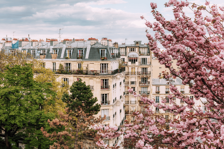 Hidden Gems in Paris Travel Guide: Paris in Spring with Blossom
