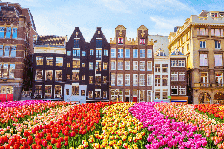 Netherlands Summer Travel Guide in Europe 2023