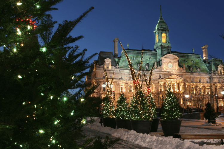 City Hall of Montreal in Canada at Christmas with Christmas Trees