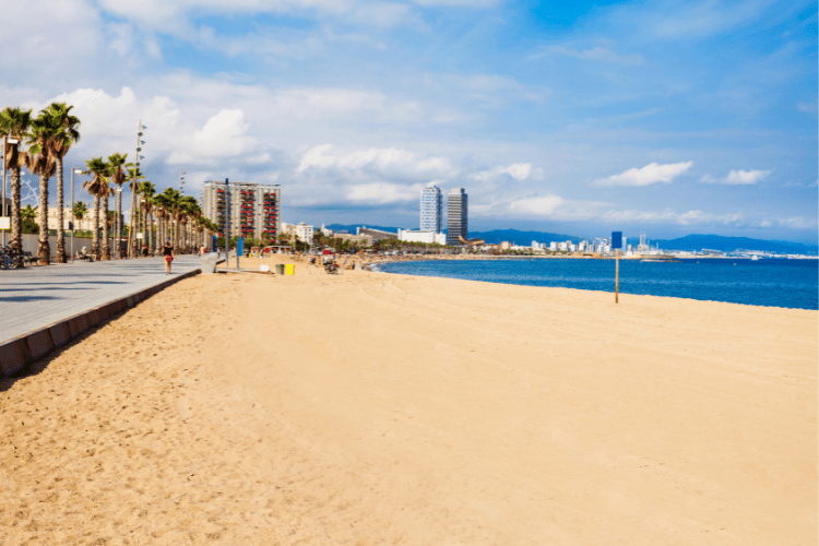 Ultimate Barcelona City Guide: Barceloneta Beach