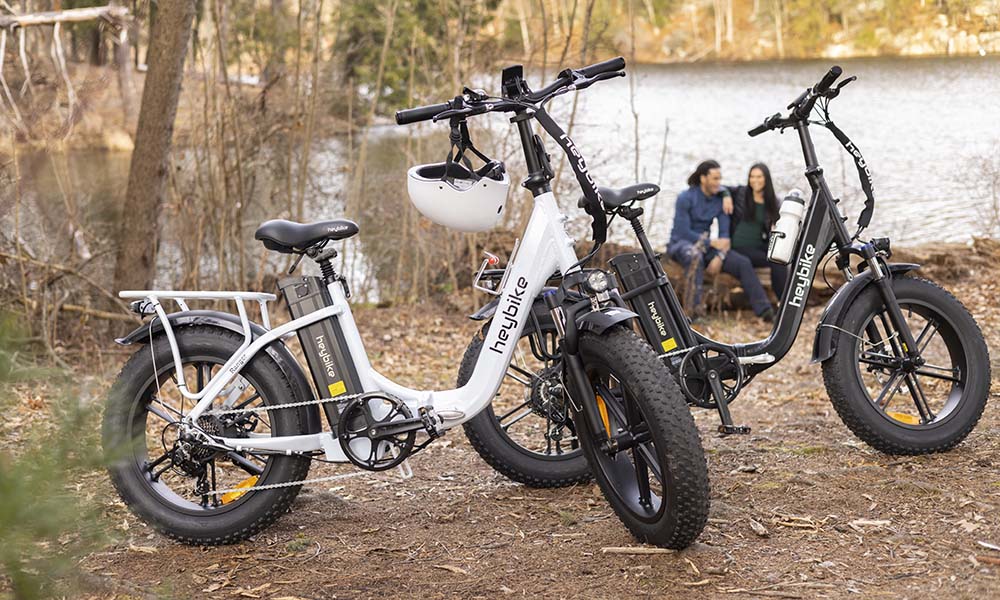 ranger fat-tire electric bicyble