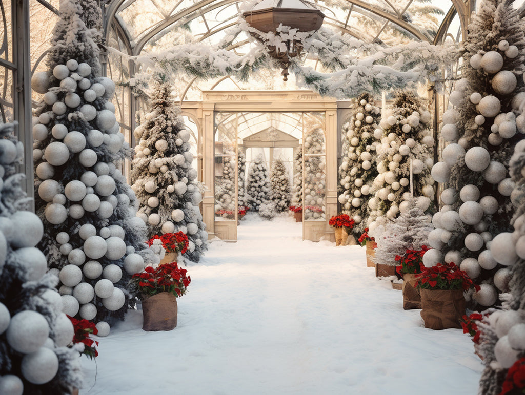 Where Can I Take Christmas Pictures: Scenic Holiday Ideas | DIGIBUDDHA