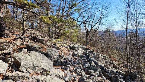 Rocky Section of Trail