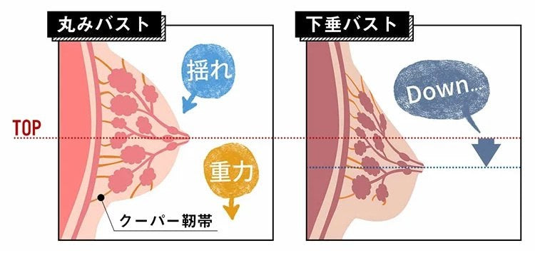 スポブラ 揺れない