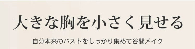 VEIMIA小さく見えるブラ 谷間メイク