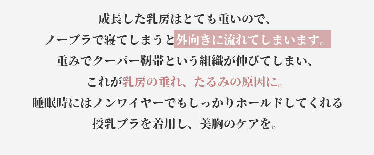 ヴェーミア授乳ブラ しっかりホールド