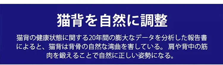 姿勢矯正ベルト 猫背を自然に調整 VEIMIA 