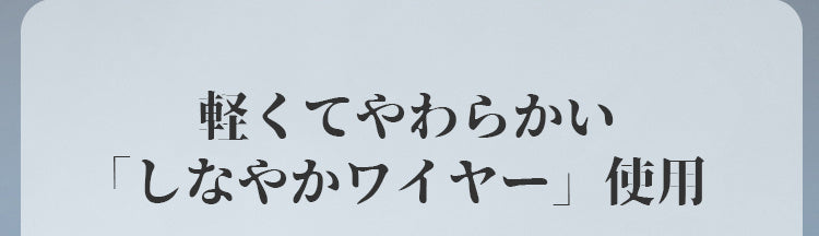 ヴェーミア大きいサイズブラ しなやかワイヤー