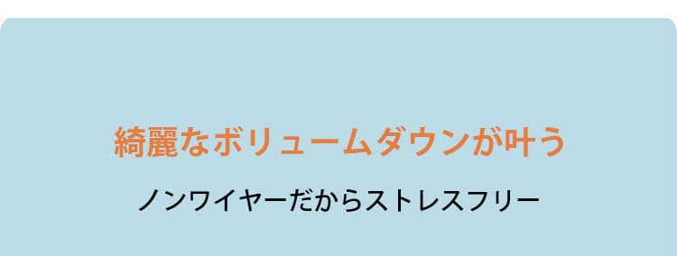 小さく見せるブラ サイズダウン VEIMIA 