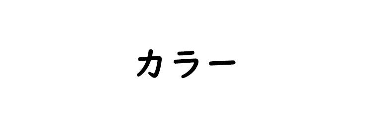 美姿勢ブラ カラー