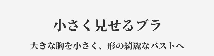 小さく見えるブラ VEIMIA 大きな胸を小さくする