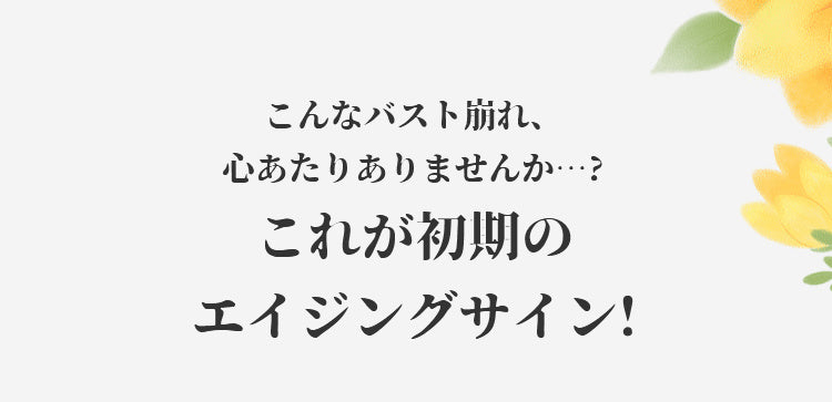 フロントホックブラ バスト崩れ