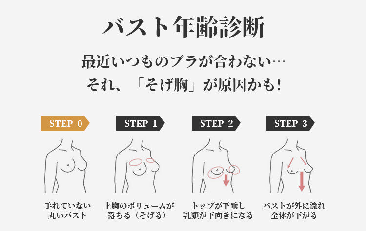 フロントホックブラ バスト年齢診断