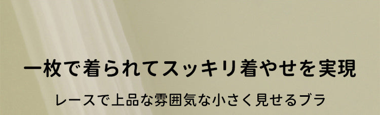 胸を小さく見せるブラ スッキリ VEIMIA