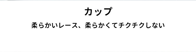 胸を小さく見せるブラ カップ VEIMIA