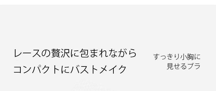 ヴェーミア胸が小さく見えるブラ 特徴