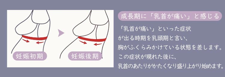 授乳ブラ 妊娠期の問題