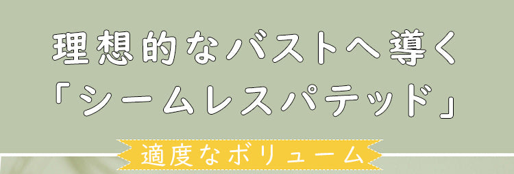 ヌーブラ 理想なバスト