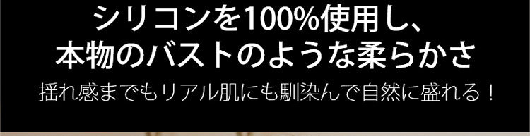 シームレスヌーブラ シリコン