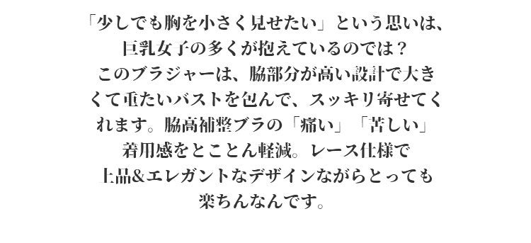 ヴェーミアブラジャー 小さく見せる 胸を小さくしたい