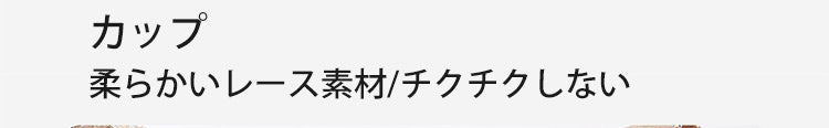 小さく見えるブラ 柔らかいカップ ヴェーミア 