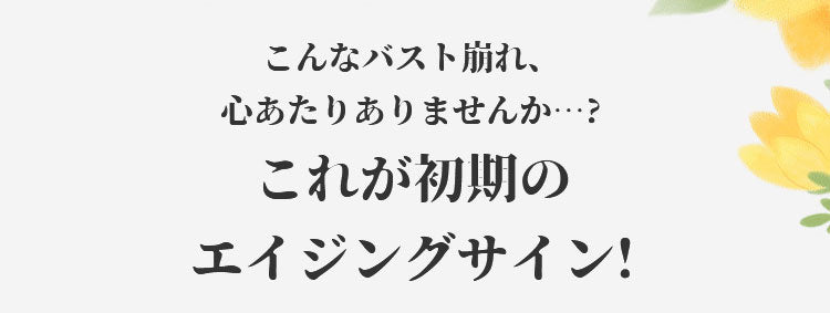 シームレス前開きブラ バスト崩れ心当たり ヴェーミア