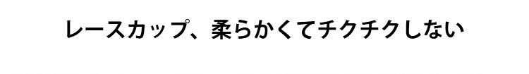 ヴェーミア胸が小さく見えるブラ チクチクしない