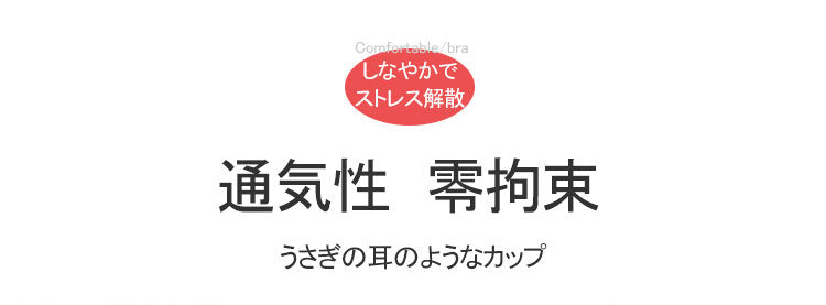 小さく見せるブラ ストレスフリー