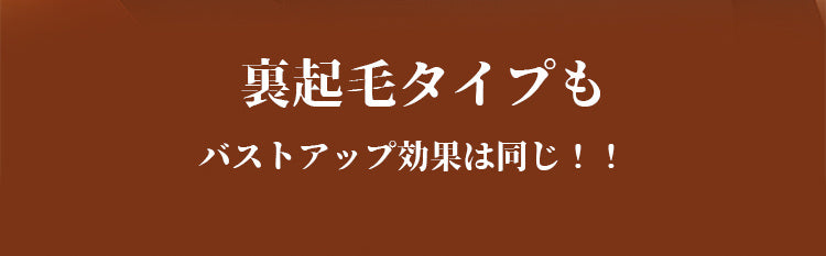 裏起毛インナー 美胸